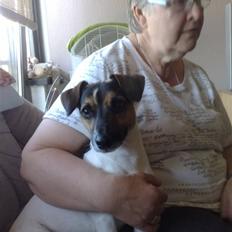 Blanding af racer Otto