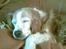 Welsh springer spaniel Qitaihe - Øffe