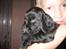 Field Trial Cockerspaniel Magnus