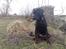 Blanding af racer Bamse *RIP* 