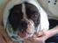 Fransk bulldog Gizmo † 2011