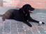 Blanding af racer Walther - R.I.P - tager lige en slapper