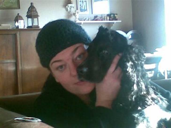 Cocker spaniel Sigurd - Sigurd og MOAR.... billede 5