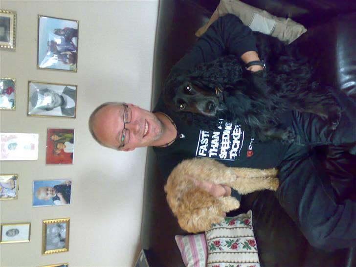 Cocker spaniel Sigurd - Sigurd, FAAAAAR og lillesøster... billede 8