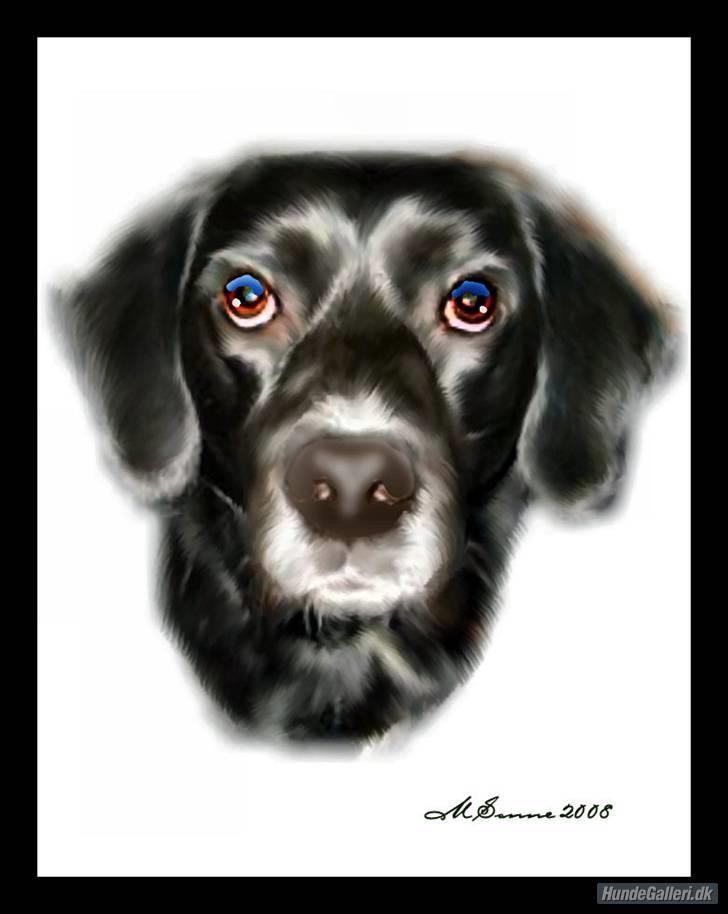 Blanding af racer tarzan - velkommen til min profil:) smid gerne en bedømmelse. billede 1