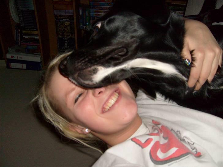 Blanding af racer tarzan - tarzan & mig (dagen efter nytårsaften)  billede 3