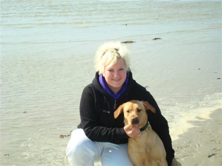 Labrador retriever Maggie - Maggie og mig selv billede 12