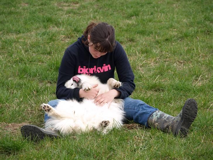Dansk Spids Nikka - Når bare vi er sammen, går alt som en leg, intet kan skille os ad, Du er altid i mit hjerte <3 Foto: Mette Bendt. billede 16