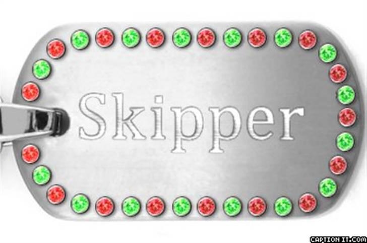 Blanding af racer Skibber<3 billede 17