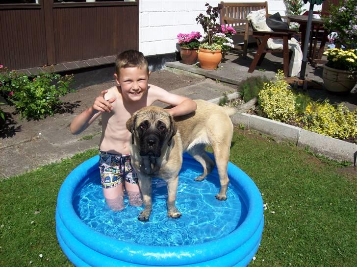 Blanding af racer Freja - Ææææælsker vand.. billede 3