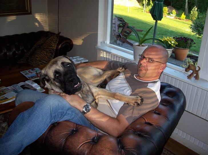 Blanding af racer Freja - Hvad?? Kan sagtens ligge her billede 5