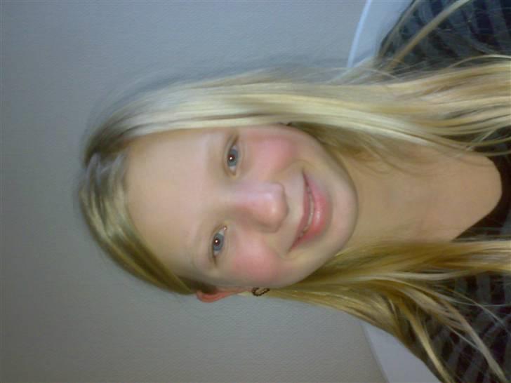 Jack russell terrier Issa - det er mig der ejer denne hund der hedder Issa bliver snart 11 år billede 8