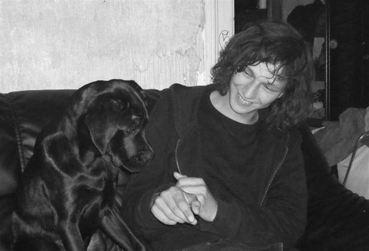 Blanding af racer Thyra (Boxer/Labrador) - Thyra og Suersaq billede 8