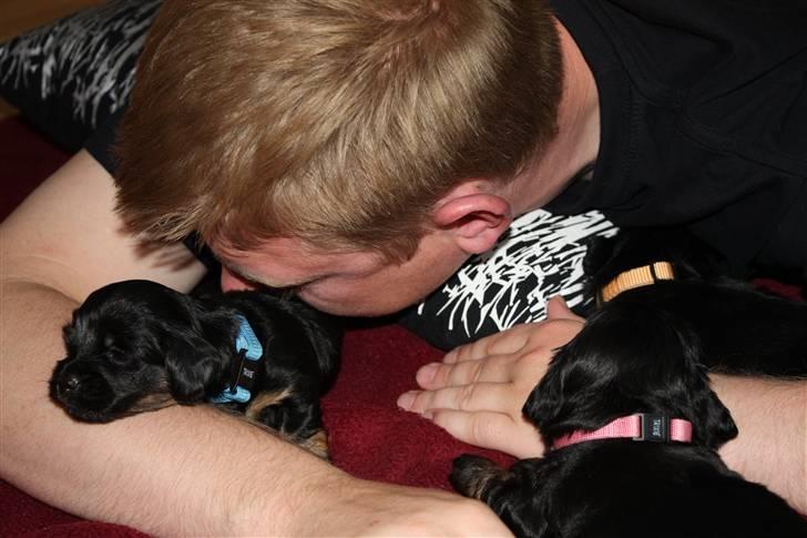 Blanding af racer Johan jack - Ahh altså de forstår bare og hygge her i huset.. billede 9