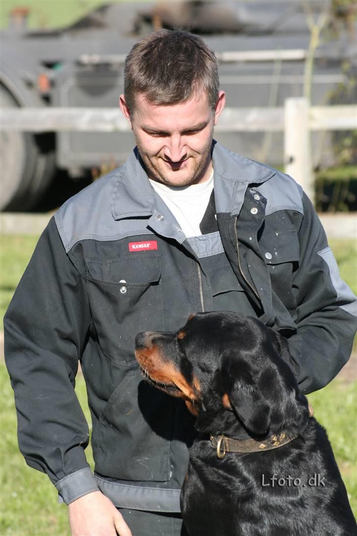 Rottweiler Maggi  (Død d. 10/8 2009) billede 6