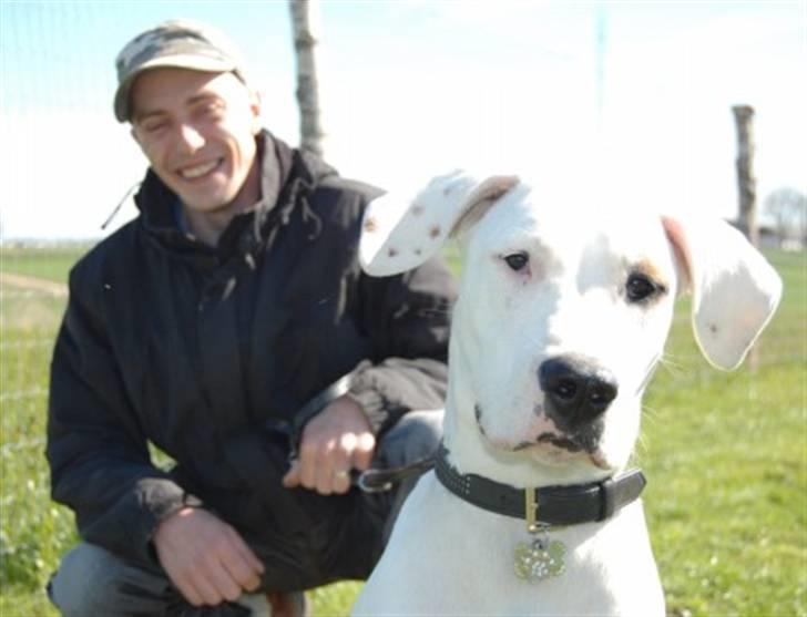 Blanding af racer Sally billede 11