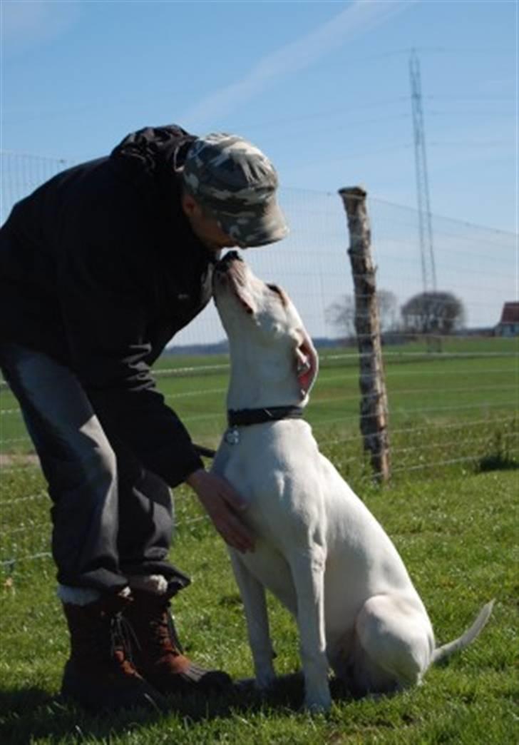 Blanding af racer Sally billede 12