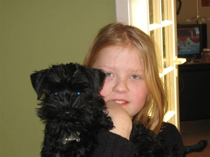 Dvaergschnauzer Snavs - Mig og Snavs - Begge små :´D <3 billede 5