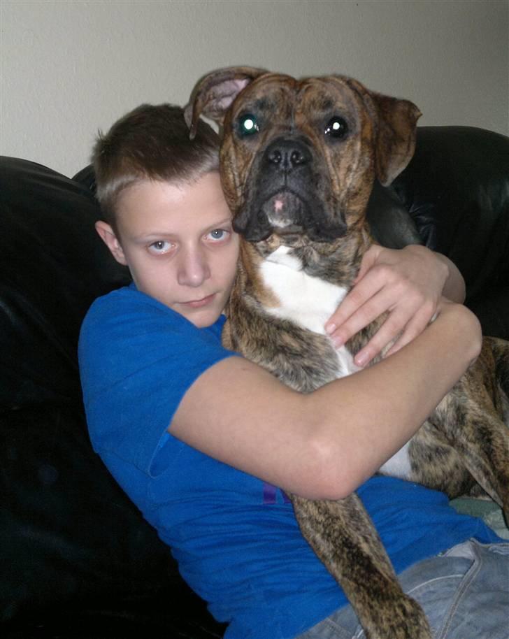 Blanding af racer R.I.P. Boddy - Jan. 2011 billede 11