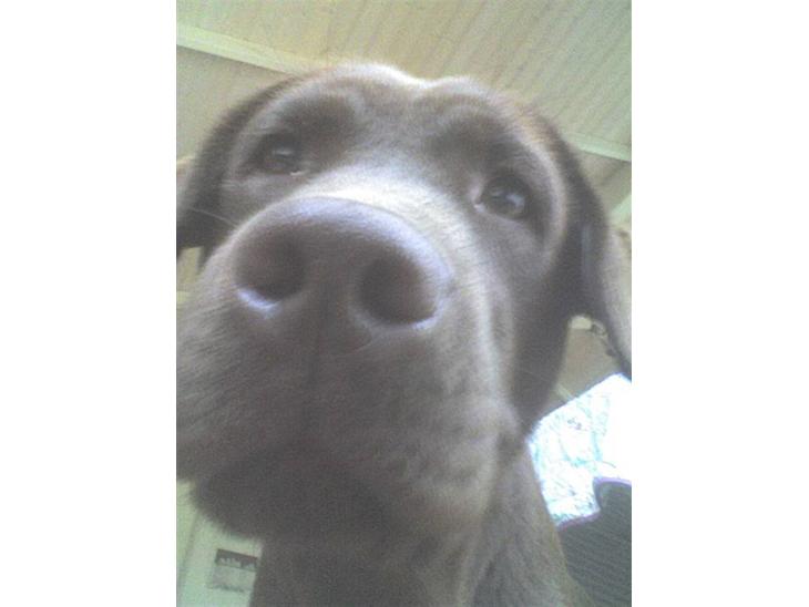 {{currentPhoto.altText}} billede {{currentPhoto.number}}