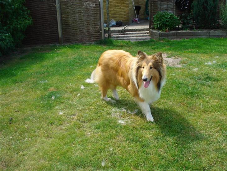 {{currentPhoto.altText}} billede {{currentPhoto.number}}