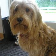 Blanding af racer Via