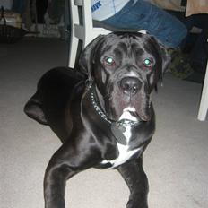 Blanding af racer buller