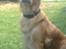 Blanding af racer Tiggy R.I.P :( - Smukke mig