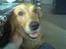 Blanding af racer Tiggy R.I.P :(