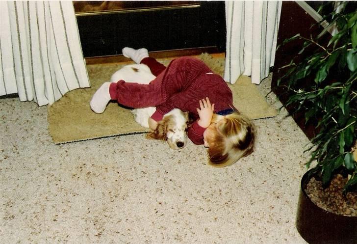 Cocker spaniel Line R.I.P - Mig og Line i en hyggestund billede 17
