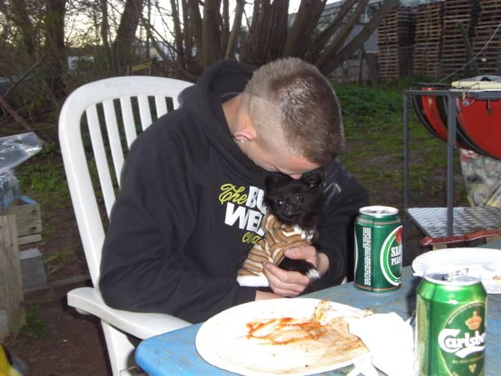 Blanding af racer Zita - Her sidder hun så med far, og kigger ham dybt i øjnene:) sødt billede 11