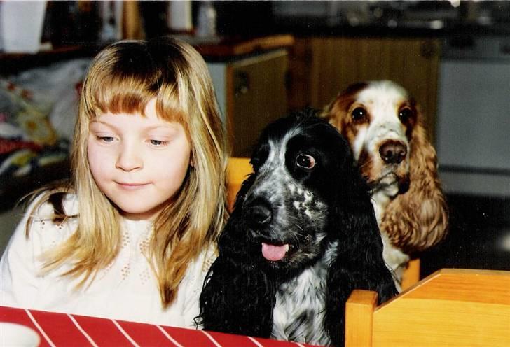 Cocker spaniel Cianti R.I.P. - Mig, Cianti og Line billede 7