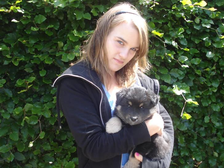 Finsk lapphund Kello Xila:D Love Ya<3 - Xila og mig da vi var ude at kigge på hende  billede 6