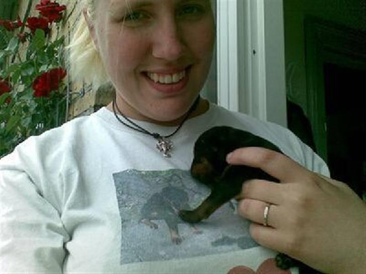 Rottweiler Qato - Mig og min skønne hvalp billede 4