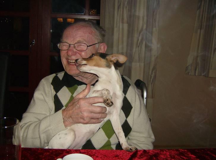 Dansk svensk gaardhund Perle - det her er Knud med Perle billede 4