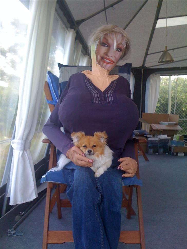 Blanding af racer Minnie billede 10