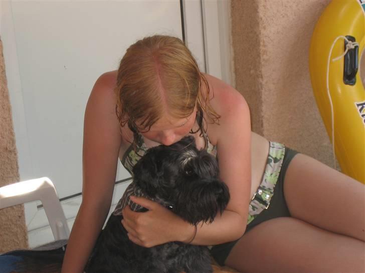 Dvaergschnauzer Snavs - Møs møs hunni :) <3 billede 20