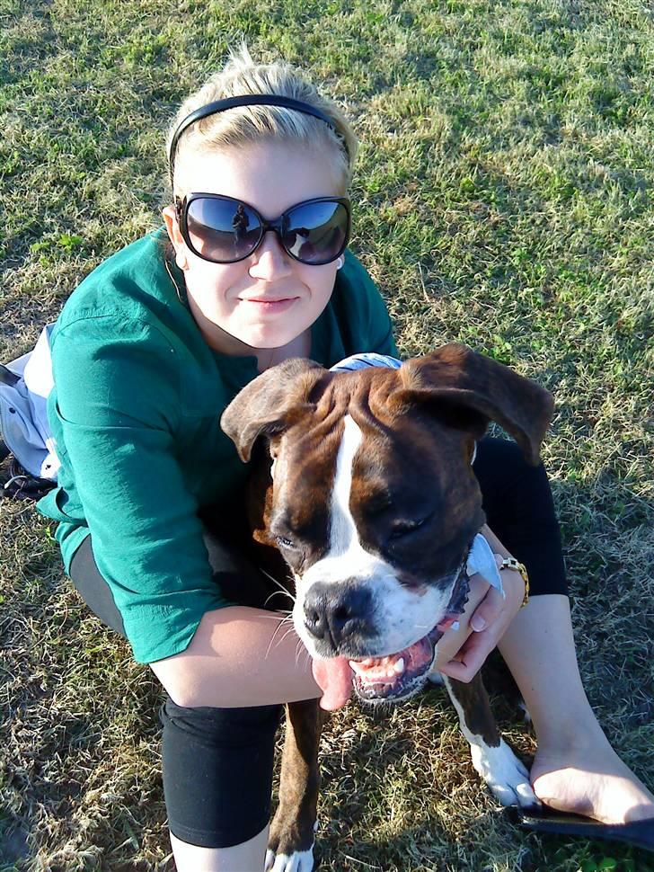 Boxer Aslan - sommerbillede med mor billede 11