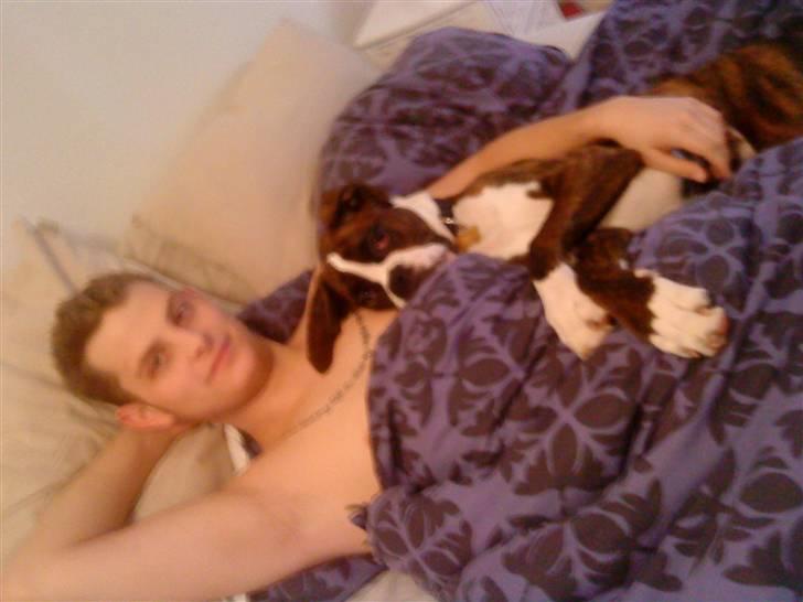 Boxer Aslan - morgenhygge med far det er det bedste billede 13