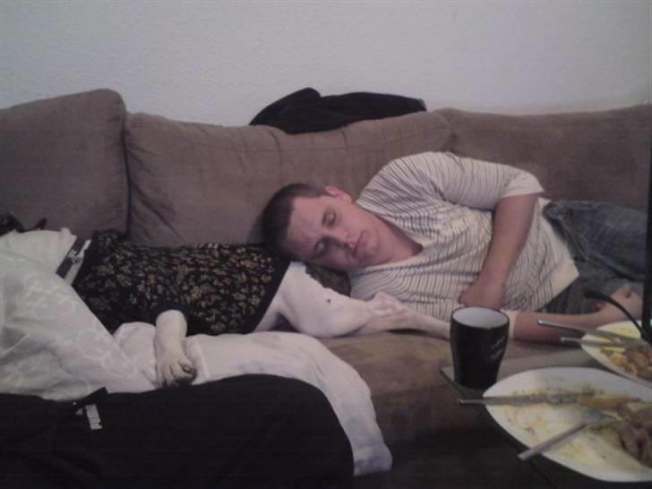 Blanding af racer Munnie - Munnie der putter med fars bedste ven billede 15