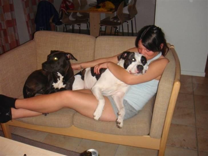 Blanding af racer Munnie - Mor putter med mig og min gamle bedste veninde, R.I.P Baby billede 18