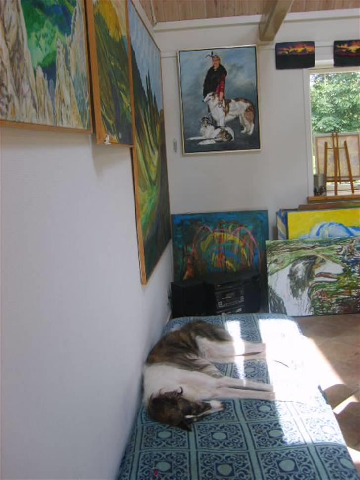 Borzoi Louis - Louis nyder at være i mit ateli billede 2