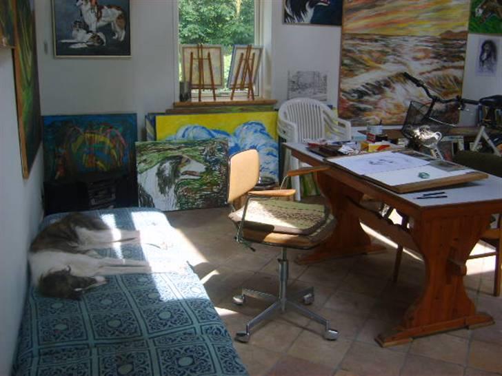 Borzoi Louis - Louis slapper af og til venste side ses der hvor jeg tegner billede 3