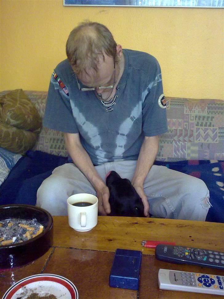 Blanding af racer Skipper billede 14