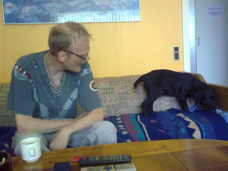 Blanding af racer Skipper billede 15