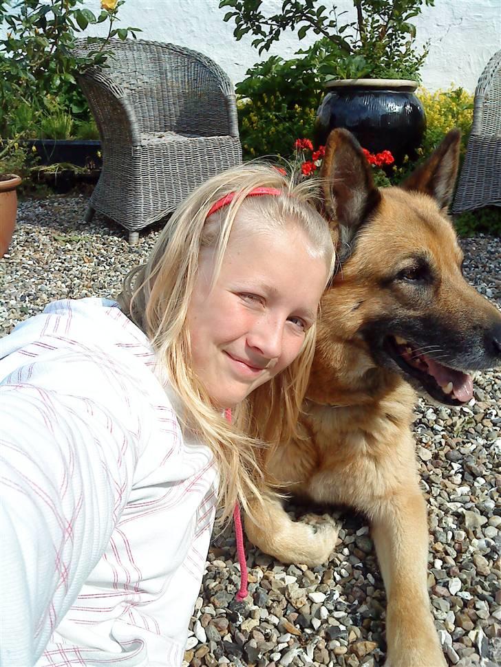 Schæferhund Storm(Tante og Onkel's) - Hej hej kom snart igen billede 8