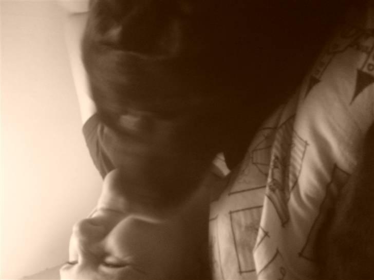 Labrador retriever *Aflivet, R.I.P. - Bella  billede 19