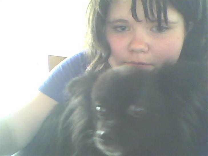 Pomeranian vaks - Vaks&mig!!,på en rigtig varm sommerdag, vi undskylder vores pels/hår!! (;  billede 4