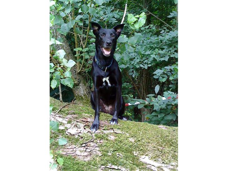 {{currentPhoto.altText}} billede {{currentPhoto.number}}