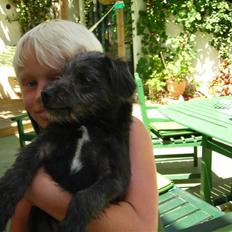 Blanding af racer Mons